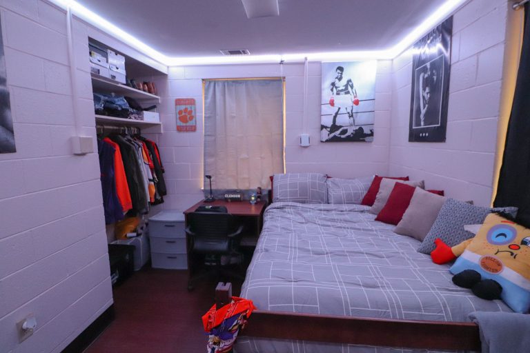 Thornhill Village Clemson Home