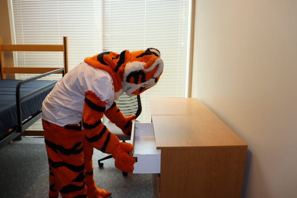 Tiger checking room