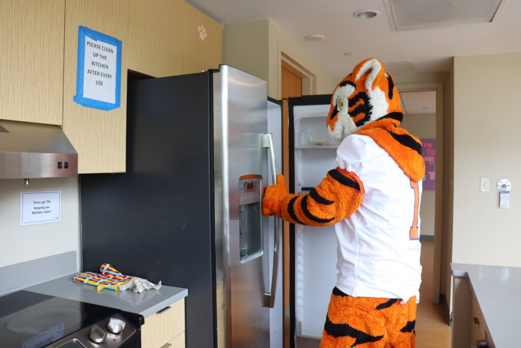 Tiger looking through the fridge